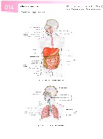 Sobotta Atlas of Human Anatomy  Head,Neck,Upper Limb Volume1 2006, page 21